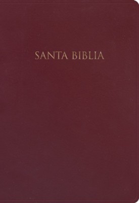 biblia-de-regalos-y-premios-nvi-holman-libreria-peregrinos