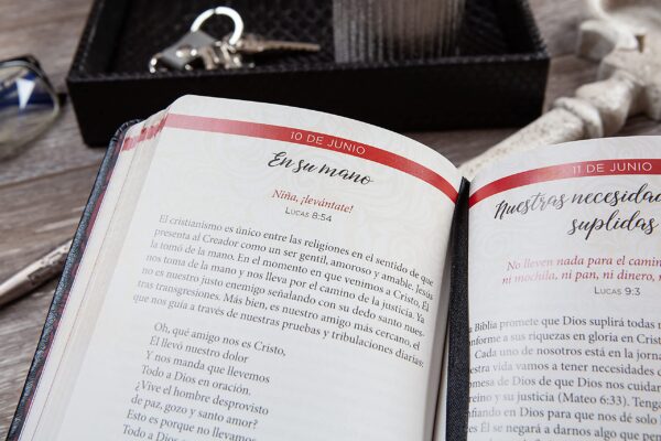 Jesus en rojo 365 meditaciones sobre las palabras de Jesus peregrinos libreria