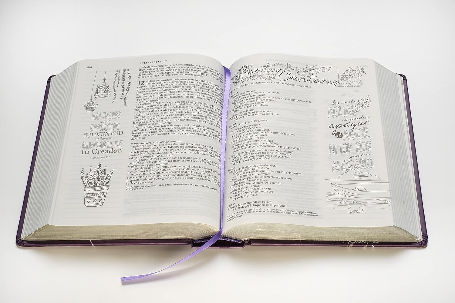 biblia inspira NTV morada / tapa dura - Imagen 2
